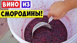 ВИНО из СМОРОДИНЫ! САМЫЙ ПРОСТОЙ РЕЦЕПТ!!!