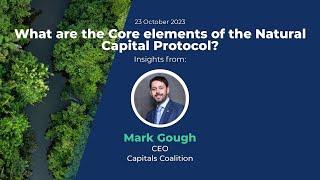 Mark Gough Interview - Natural Capital Summit