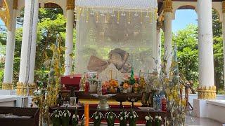 ដើមឈើសក្កិសិទ្ធនៅឡាវ (Manikhoth sacred tree in Laos)