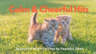 [Playlist] Happy Pet Beats | Relaxation Music For Pets | Peaceful Paws