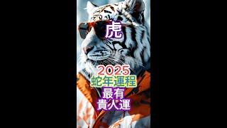 [肖虎]運程 | 高維冥想HDM | 2025蛇年生肖運程：財富、感情、事業與健康[重點指南]！[三大關鍵月份提醒]！把握好運！智慧避兇，#財運 #感情運 #事業運 #健康運 #生肖運程 #運勢分析