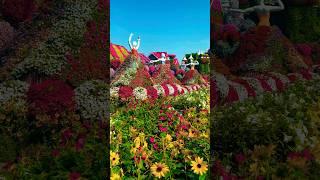 Amazing Dubai Miracle Garden #dubai #travel #miraclegarden #flowers #garden #dubaicity