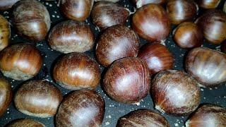 How to eat chestnut  / roasting chestnuts 