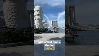 Mermaid & Lion = Merlion‍️ #singapore #mermaid #lion #slowmotion #super #merlionpark