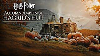 Hogwarts Autumn  Hagrid's Hut ◈ Harry Potter inspired Ambience / Falling Leaves + Rain showers