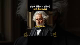 감정에 휘둘리지 않는 법  그냥 흘려보내라 #쇼펜하우어 #명언 #ai #강연 #삶의지혜