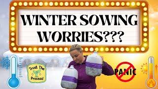 Winter Sowing Worries? Trust the Process & Avoid These Mistakes! | The Southern Daisy