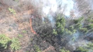 Forest Fire with Drone Support