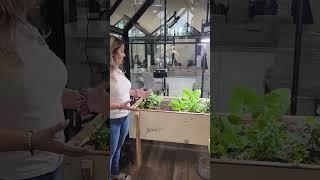 LifeSpace Self-Watering Gardens + BC Greenhouse Builders