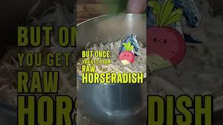 Extra Hot Horseradish Sauce with Fire Cider - Ranch Spotlights