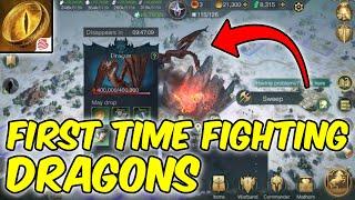 Fighting My First Dragon Lord of the Rings: Rise To War