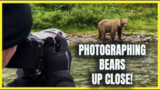 Alaskan Brown (Grizzly) Bear Photography - Walking with Bears Up Close - Remote Wilderness Camping