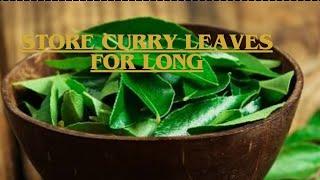 Store Curry Leaves For long | Curry leaves storing tips i#curryleave #curryleaves