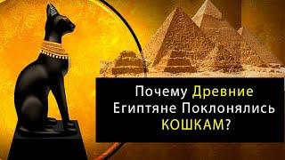 Загадки Почитания Кошек в Древнем Египте.