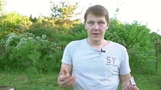 Картошка для души - ответы на вопросы.