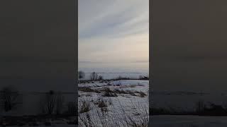 Зимняя сказка!#shortvideo #против #шерсти