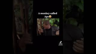 George of the jungle