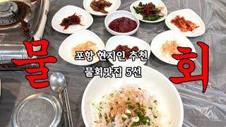 포항물회 현지인이 주로가는 물회맛집 5선 #포항물회 #포항맛집 #주관식당 #식자로드