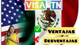 Lo que nadie te dice sobre visas TN // Mi experiencia 