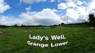 Goresbridge: Lady's Well (360° video)