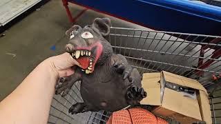 I found a NEW goodwill bins!!! let's check it out