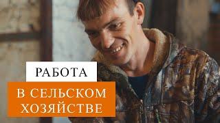 Хочу в деревню. Документальный фильм о механизаторах и доярках. Сельское хозяйство .Томская область.