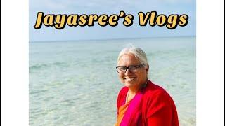 My Introduction - Jayasrees Vlogs Bread Basundi #USA #BreadBasundi | USA Telugu Vlogs