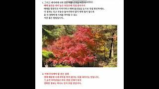 아파트 경매 물건 정확한 시세 파악하는 방법..법원 경매 입찰 참가 시 주의 사항(2편)..고양시 일산 대법원 법원 고양지원 부동산 경매 컨설팅 입찰 대행 회사 강추 #대법원경매