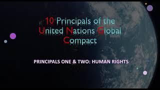 The United Nations Global Compact - Human Rights