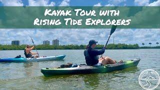 Marco Island Tours to Do: Mangrove and Mudflats Kayak Tour with Rising Tide Explorers