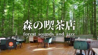 Ambient sounds + JAZZ Gentle Forest sounds Relaxing work/study CAFE MUSIC - BGM for work