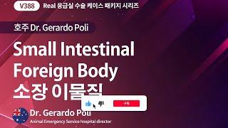 [베터플릭스] [Real 응급실 수술 케이스] 호주 Dr. Gerardo - 소장 이물질(Small Intestinal Foreign Body)_강의