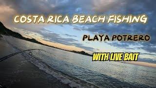 Beach Fishing Costa Rica with LIVE BAIT!