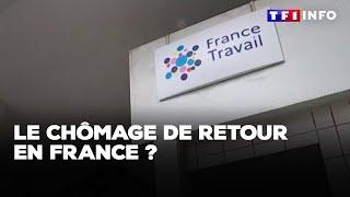 Le chômage de retour en France ?｜TF1 INFO