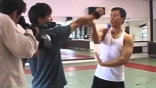 Donnie Yen Style of Action English Sub