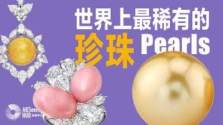 世界上最稀有的珍珠Pearls/珠宝/宝石/贝壳/大溪地黑珍珠/奢侈/最贵/最美/TOP10/耳环/耳钉/耳饰/耳坠/戒指/手链/项链/南海珍珠/稀有/罕见/海螺珍珠/鲍鱼珍珠/Akoya/爱迪生珍珠