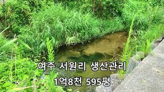 여주 서원리 생산관리1억8천 595평