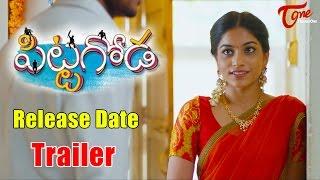 Pittagoda Release Date Trailer || Punarnavi, Viswadev #Pittagoda