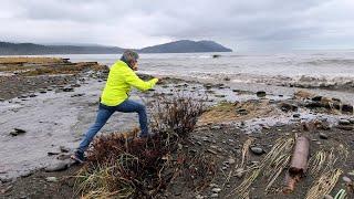 King Tides Transform the Shoreline at the Mouth of the Elwha River