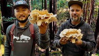 Outdoor Chef Life Takes Me Foraging and Camping