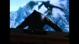 Fist/ Wolf Fighting A Dragon In Skyrim