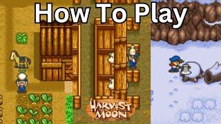 Harvest Moon (SNES) - How To Play