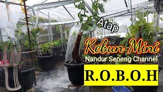 Atap Kebun Mini Nandur Seneng Channel Roboh