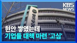 산업부, 대외 일정 모두 취소…재계는 ‘촉각’ / KBS  2024.12.05.