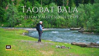 Is Taobat Bala the MOST BEAUTIFUL Place in KASHMIR? #taobat