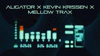 Aligator, Kevin Krissen, Mellow Trax - Phuture Vibes 2024 Remake.