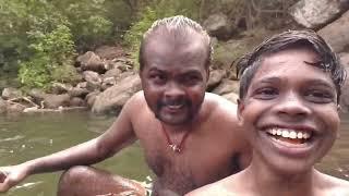 Falls in Western ghats Rajapalayam deep in the forest #shorts #ytshorts #viralvideo #vlog #trending