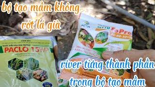 bộ tạo mầm hoa sầu riêng không rớt lá già river từng thành phần trong thuốc