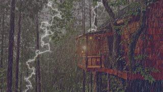깊은 잠을 위한 천둥과 빗소리 | 따뜻한 온기가 느껴지는 숲속의 트리하우스