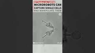 MicroRobots can capture Single Cell #shots #medical #tech #education #science #robot